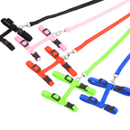 Sphynx Cat Harness & Leash Set – Lightweight & Comfortable