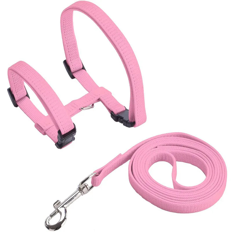Sphynx Cat Harness & Leash Set – Lightweight & Comfortable