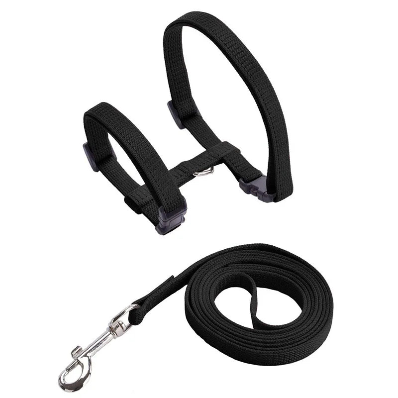 Sphynx Cat Harness & Leash Set – Lightweight & Comfortable