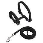 Sphynx Cat Harness & Leash Set – Lightweight & Comfortable