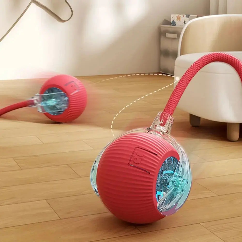 Smart Rolling Cat Toy –  Electric Balls