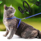 Sphynx Cat Harness & Leash Set – Lightweight & Comfortable