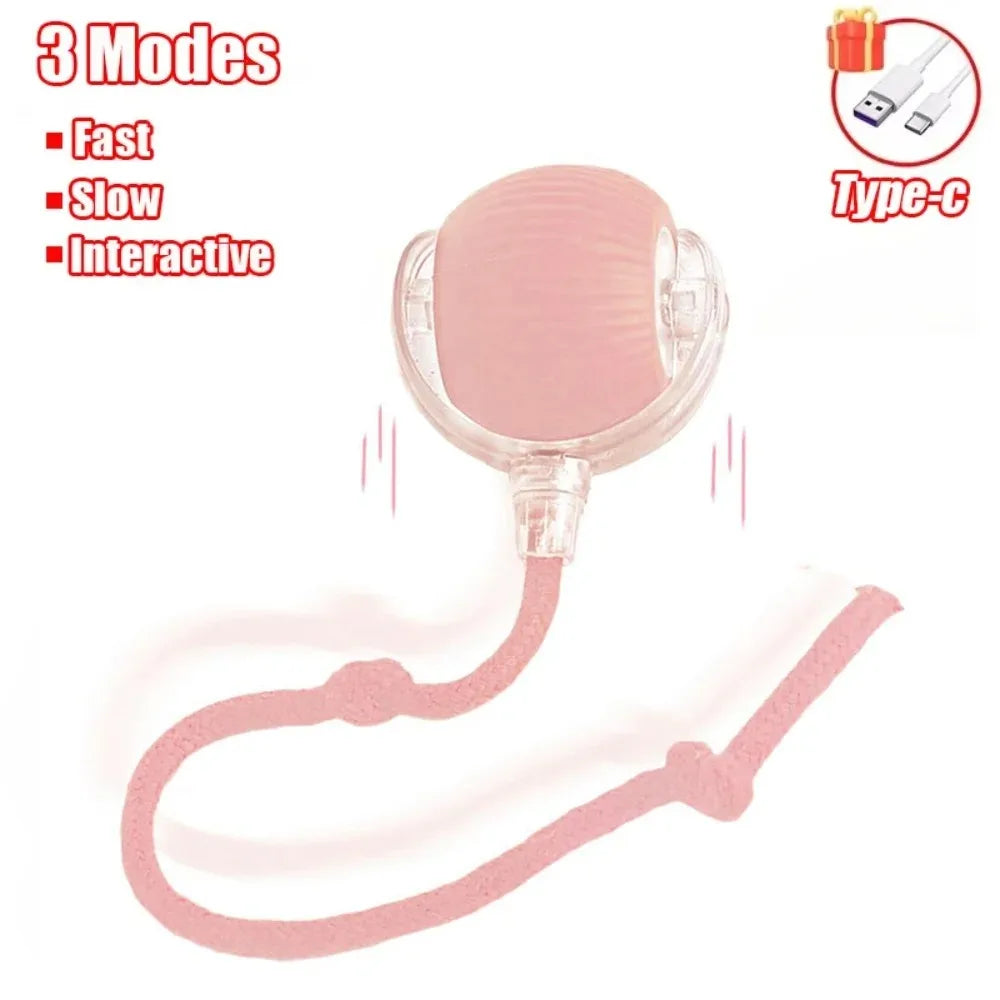 Smart Rolling Cat Toy –  Electric Balls