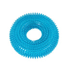 Squeaky Molar Ring Toy – Dog Chew & Teeth Cleaner