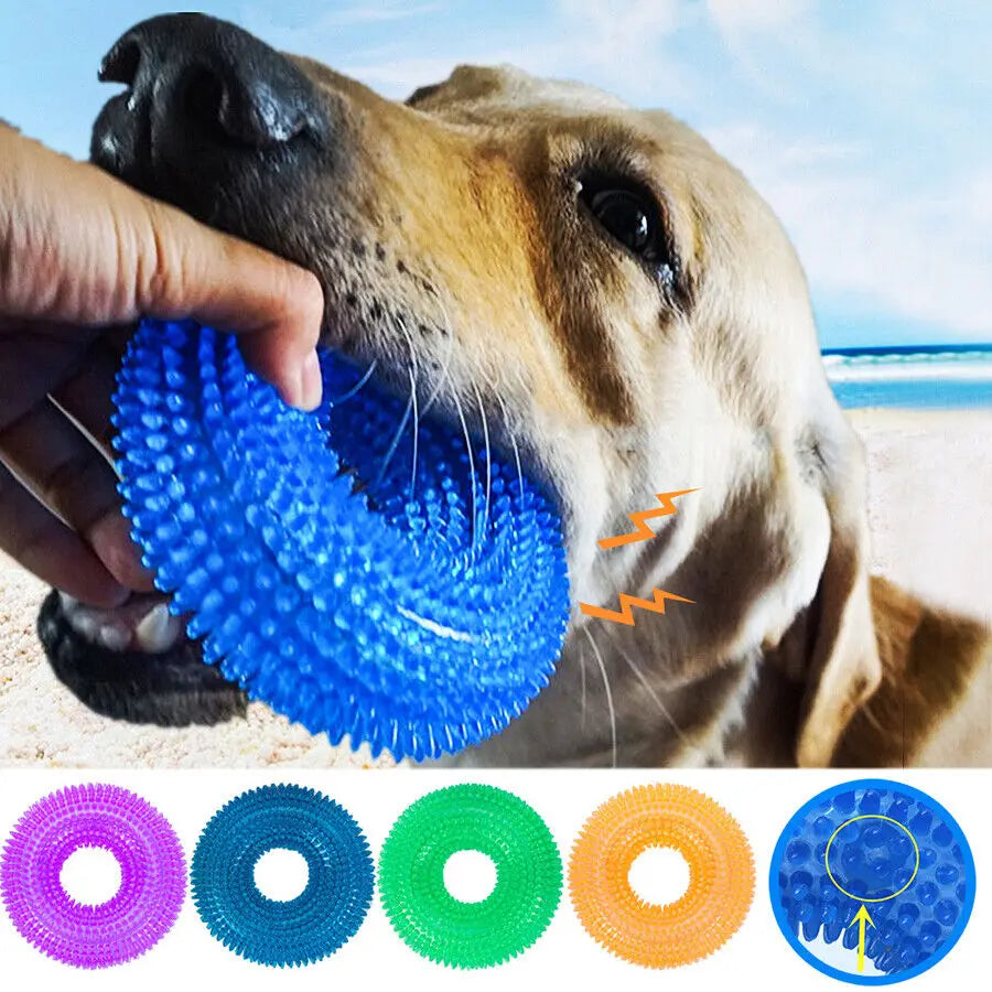 Squeaky Molar Ring Toy – Dog Chew & Teeth Cleaner