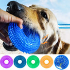 Squeaky Molar Ring Toy – Dog Chew & Teeth Cleaner