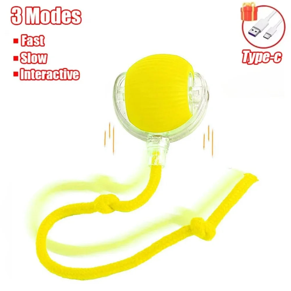 Smart Rolling Cat Toy –  Electric Balls